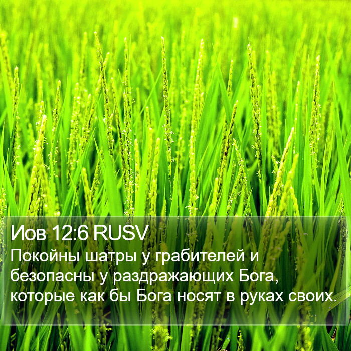 Иов 12:6 RUSV Bible Study