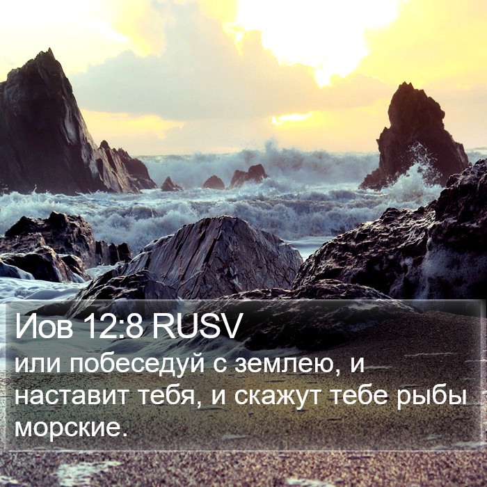 Иов 12:8 RUSV Bible Study