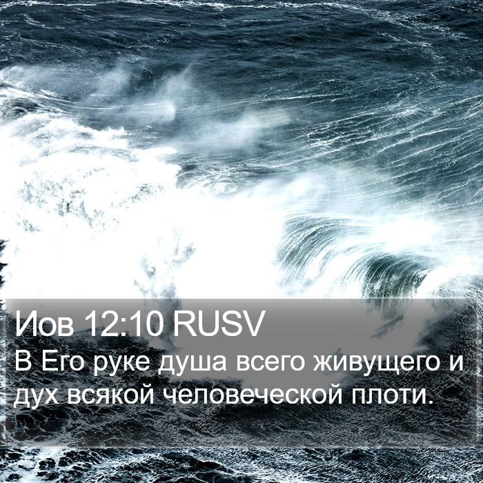 Иов 12:10 RUSV Bible Study