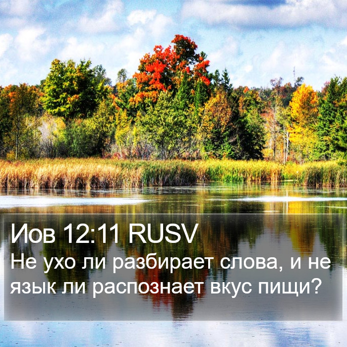 Иов 12:11 RUSV Bible Study