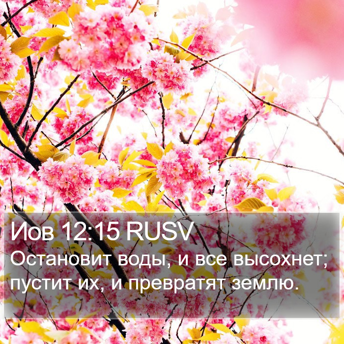 Иов 12:15 RUSV Bible Study