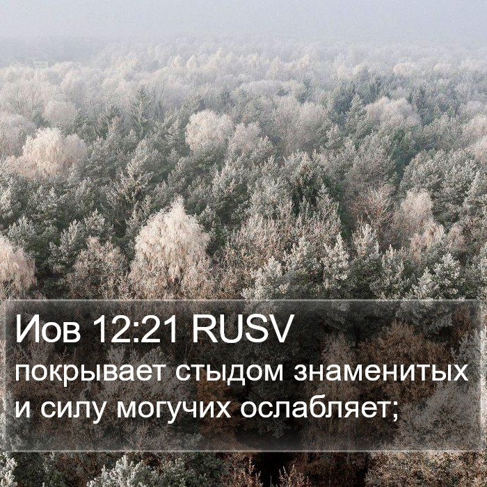 Иов 12:21 RUSV Bible Study