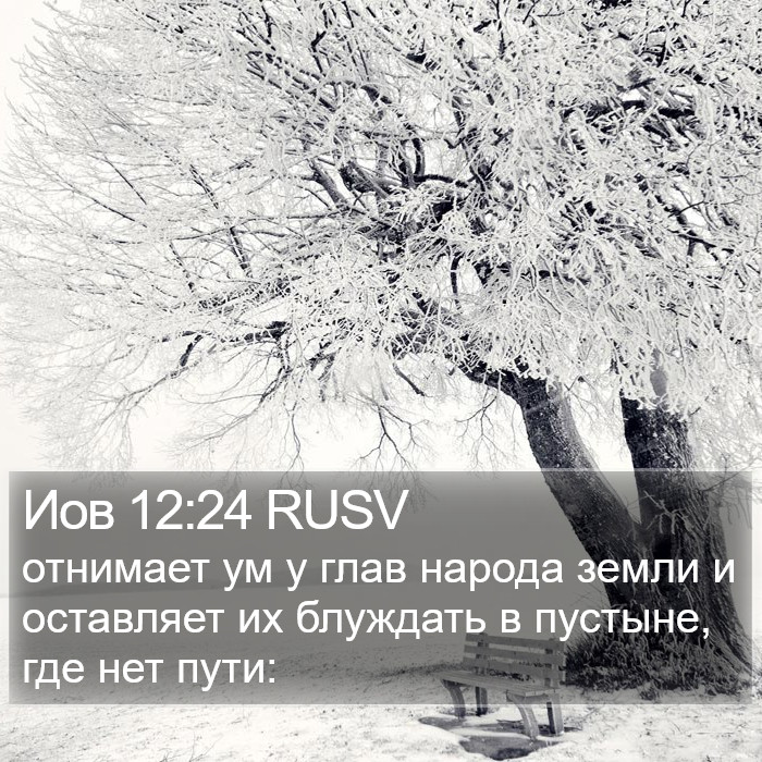 Иов 12:24 RUSV Bible Study