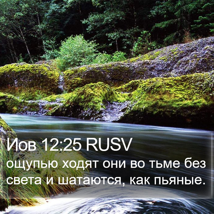 Иов 12:25 RUSV Bible Study