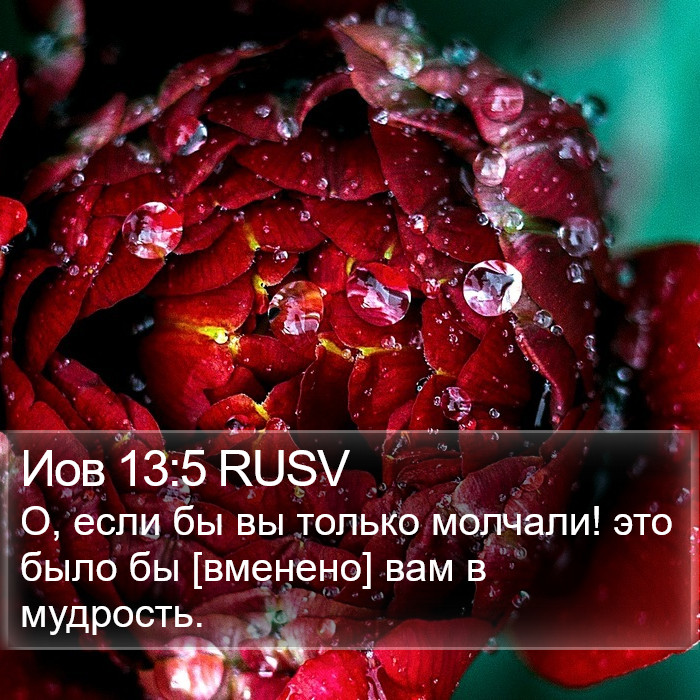Иов 13:5 RUSV Bible Study