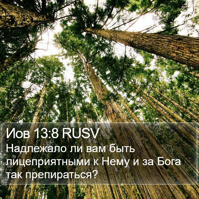 Иов 13:8 RUSV Bible Study
