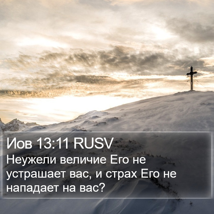 Иов 13:11 RUSV Bible Study