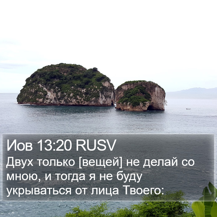 Иов 13:20 RUSV Bible Study