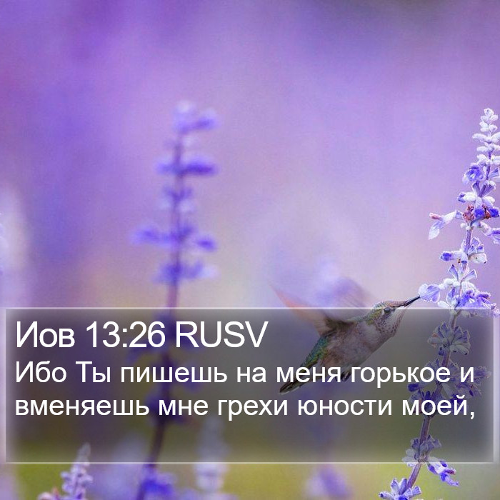 Иов 13:26 RUSV Bible Study