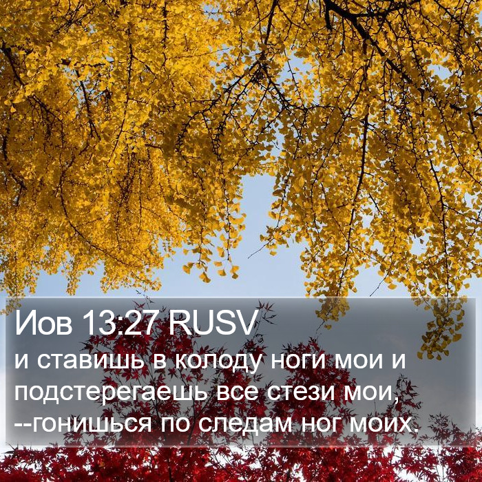 Иов 13:27 RUSV Bible Study