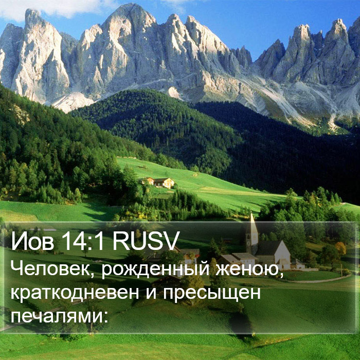 Иов 14:1 RUSV Bible Study