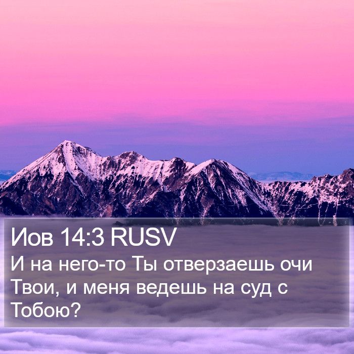 Иов 14:3 RUSV Bible Study