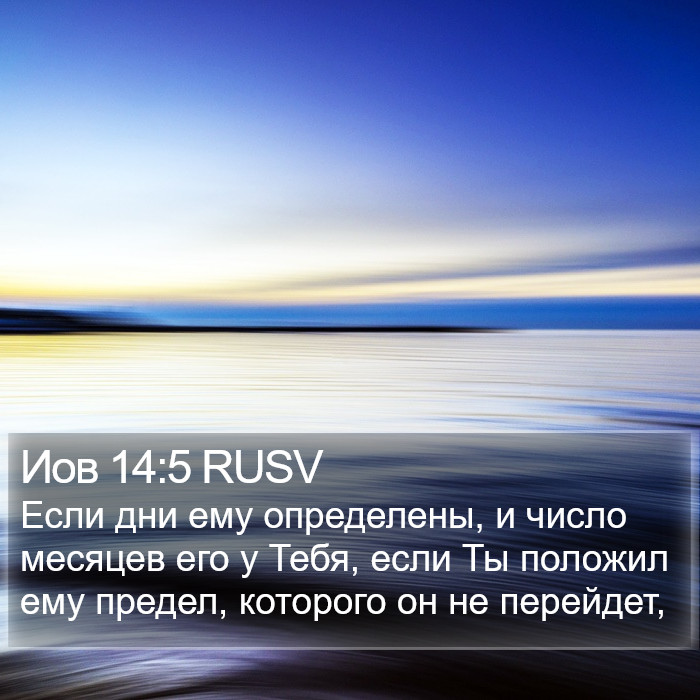 Иов 14:5 RUSV Bible Study