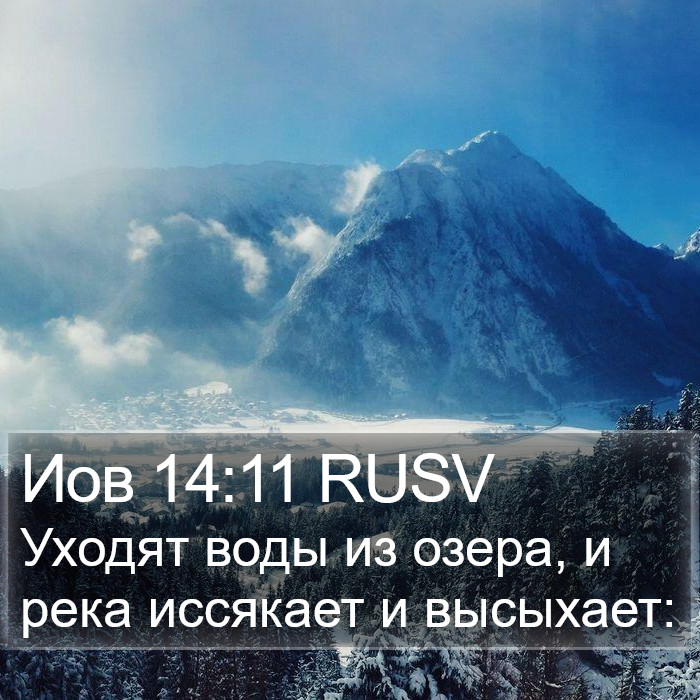 Иов 14:11 RUSV Bible Study