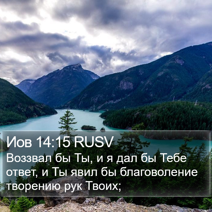 Иов 14:15 RUSV Bible Study