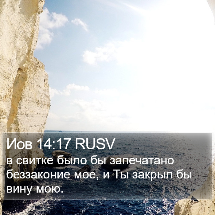 Иов 14:17 RUSV Bible Study