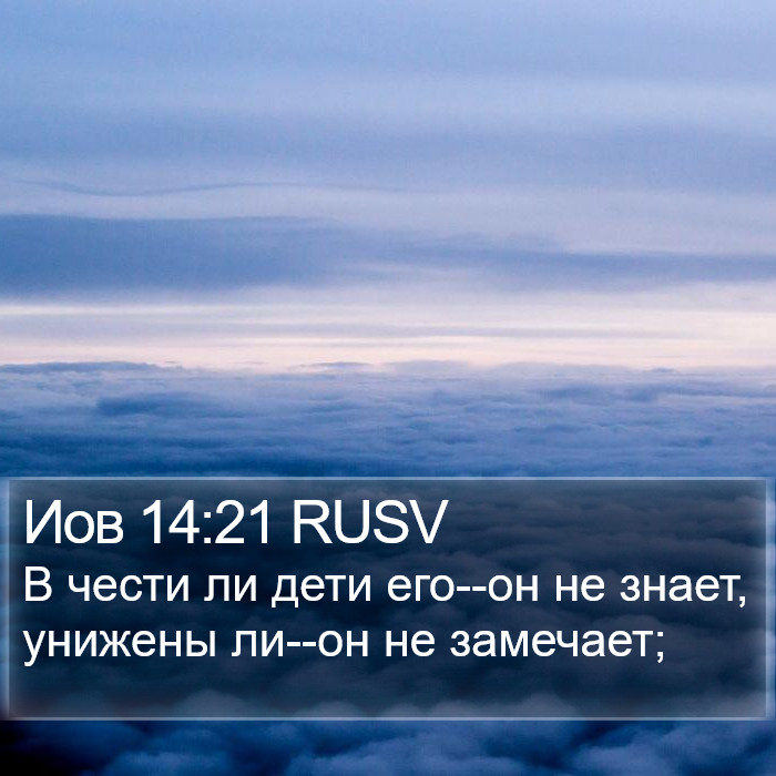 Иов 14:21 RUSV Bible Study