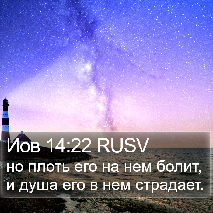 Иов 14:22 RUSV Bible Study