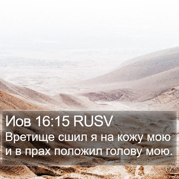 Иов 16:15 RUSV Bible Study