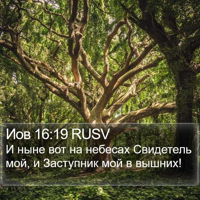 Иов 16:19 RUSV Bible Study