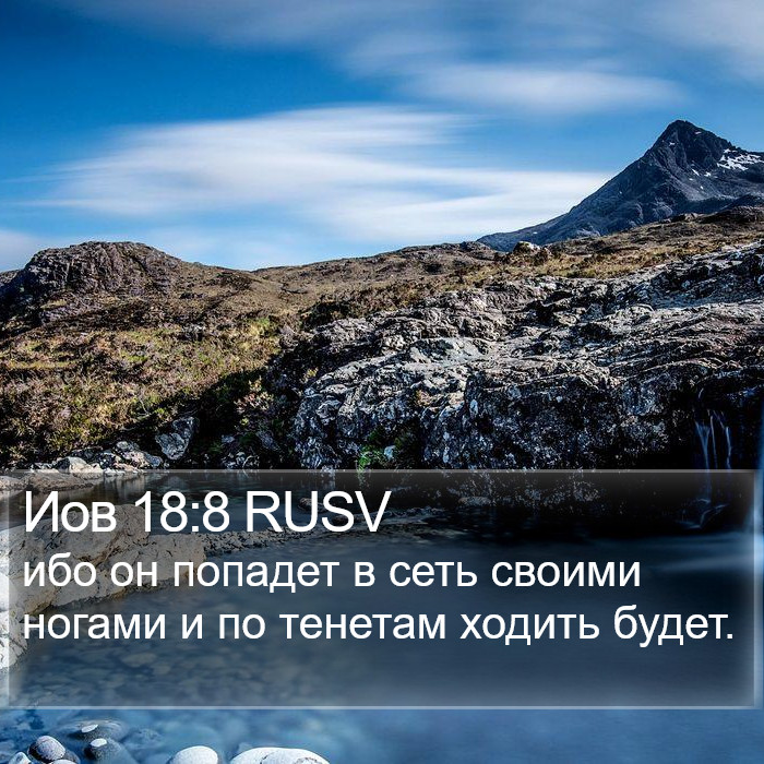 Иов 18:8 RUSV Bible Study