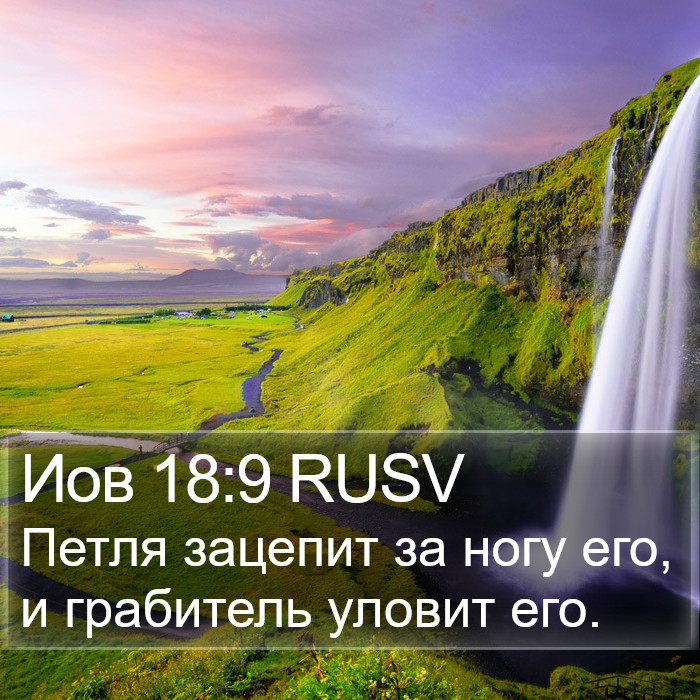 Иов 18:9 RUSV Bible Study