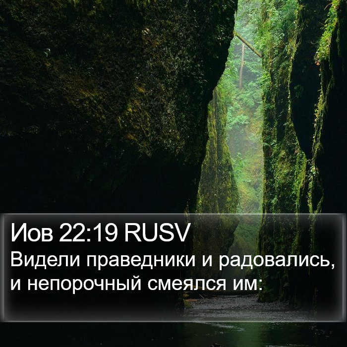 Иов 22:19 RUSV Bible Study