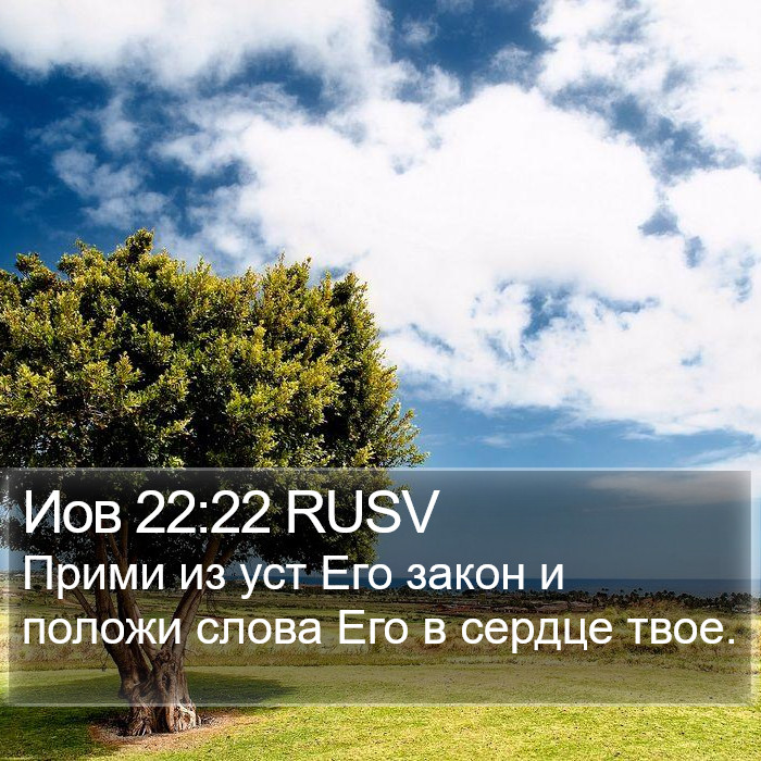 Иов 22:22 RUSV Bible Study