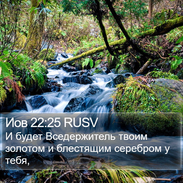 Иов 22:25 RUSV Bible Study