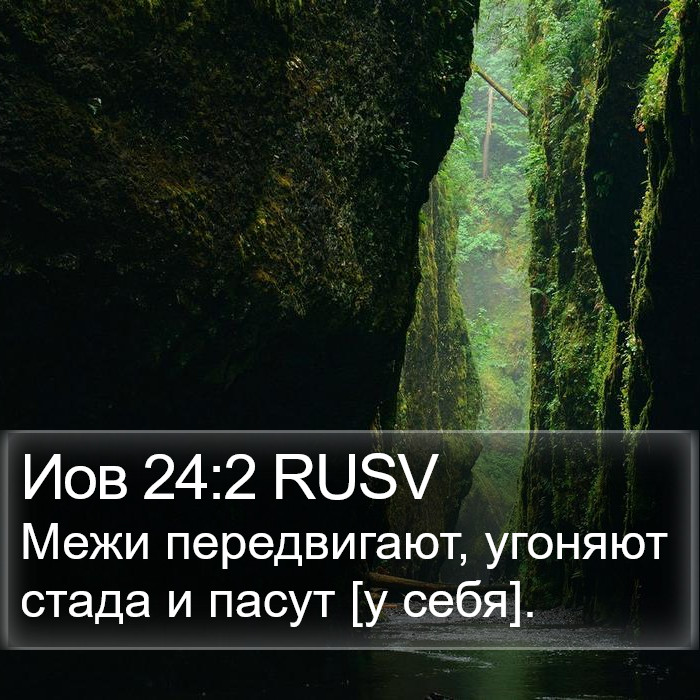 Иов 24:2 RUSV Bible Study