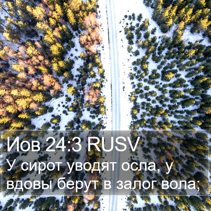 Иов 24:3 RUSV Bible Study