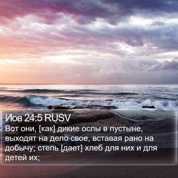 Иов 24:5 RUSV Bible Study