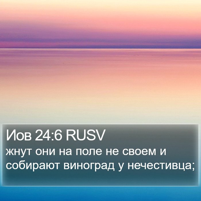 Иов 24:6 RUSV Bible Study