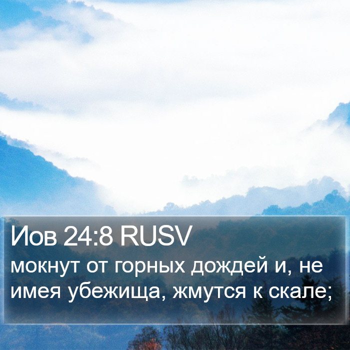 Иов 24:8 RUSV Bible Study