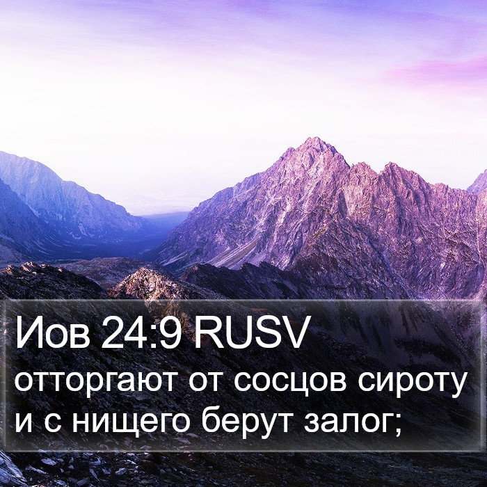 Иов 24:9 RUSV Bible Study