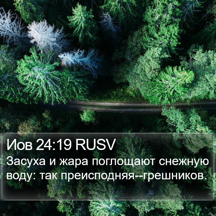 Иов 24:19 RUSV Bible Study