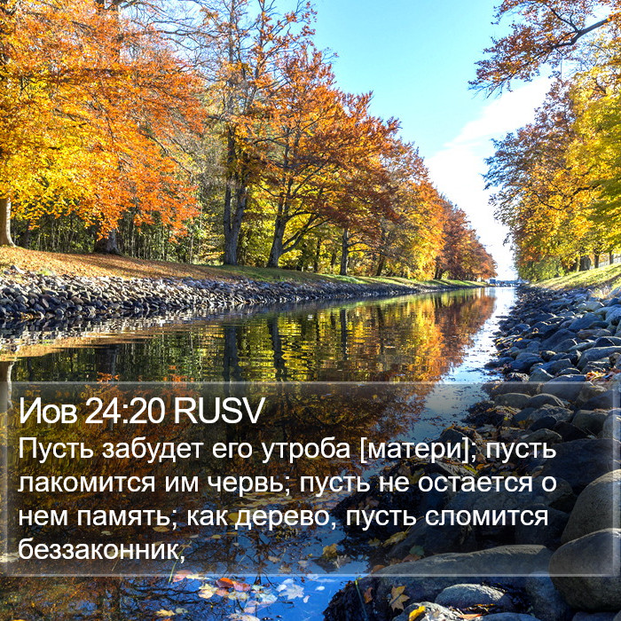 Иов 24:20 RUSV Bible Study