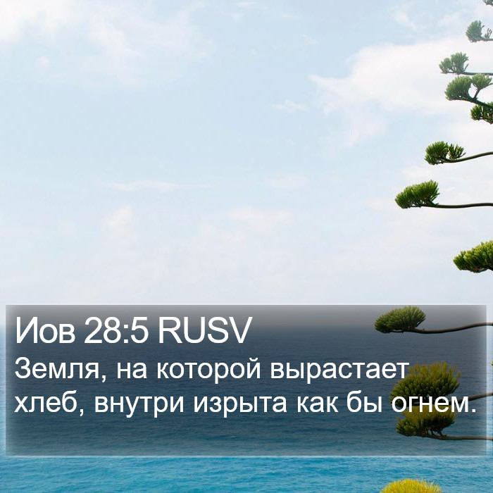 Иов 28:5 RUSV Bible Study