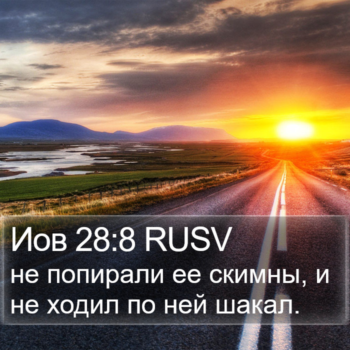 Иов 28:8 RUSV Bible Study