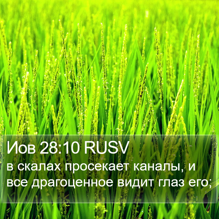 Иов 28:10 RUSV Bible Study