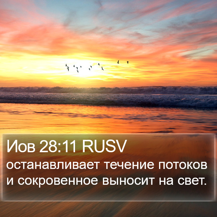 Иов 28:11 RUSV Bible Study