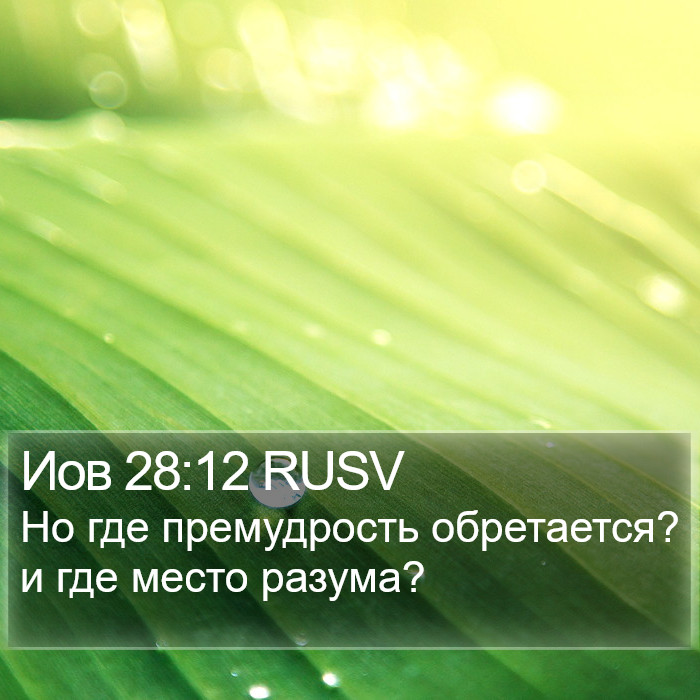 Иов 28:12 RUSV Bible Study