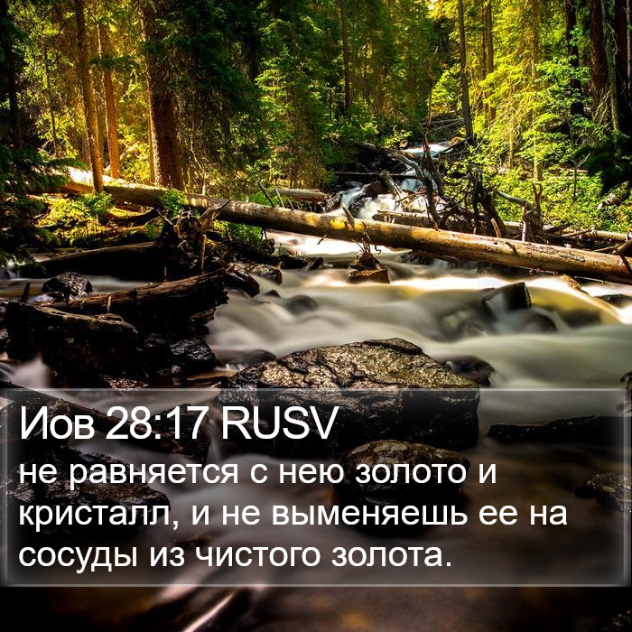 Иов 28:17 RUSV Bible Study