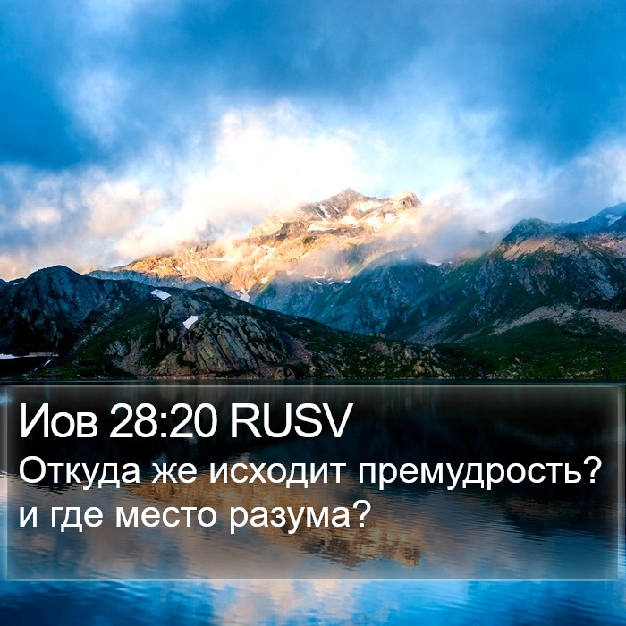 Иов 28:20 RUSV Bible Study