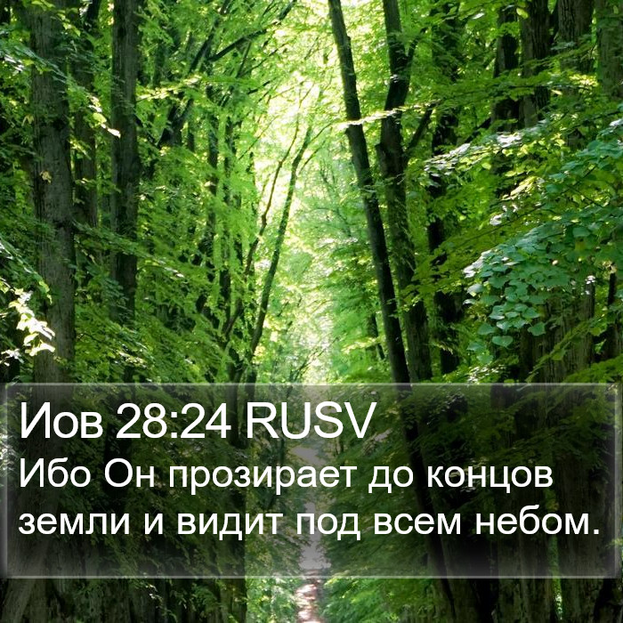 Иов 28:24 RUSV Bible Study