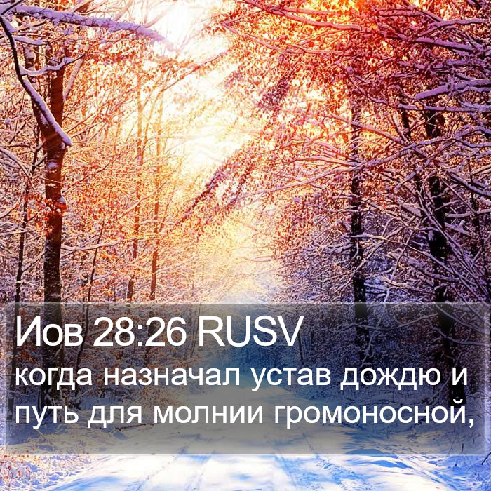 Иов 28:26 RUSV Bible Study