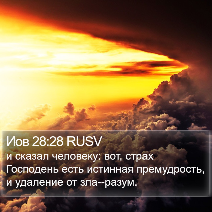 Иов 28:28 RUSV Bible Study