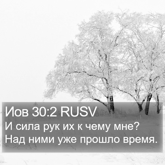 Иов 30:2 RUSV Bible Study