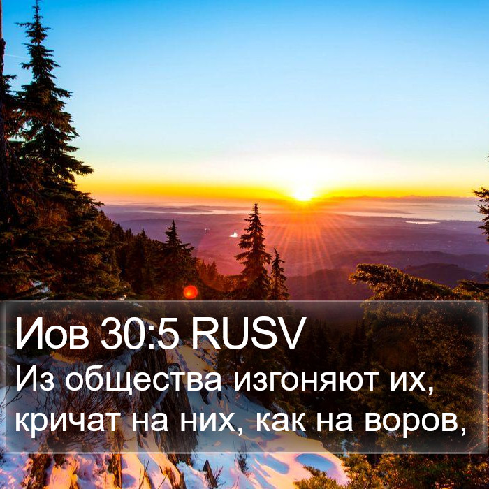 Иов 30:5 RUSV Bible Study