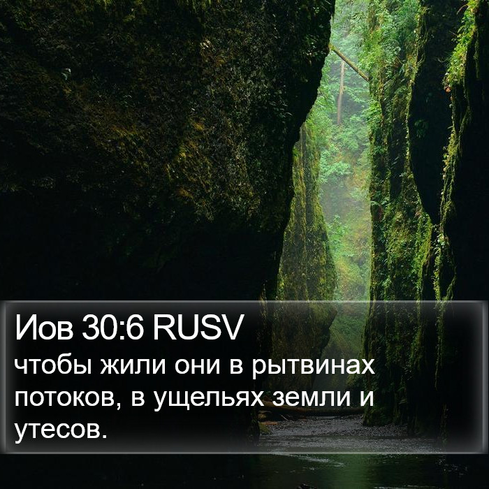 Иов 30:6 RUSV Bible Study